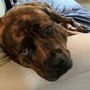 Meet your Posher, Trent